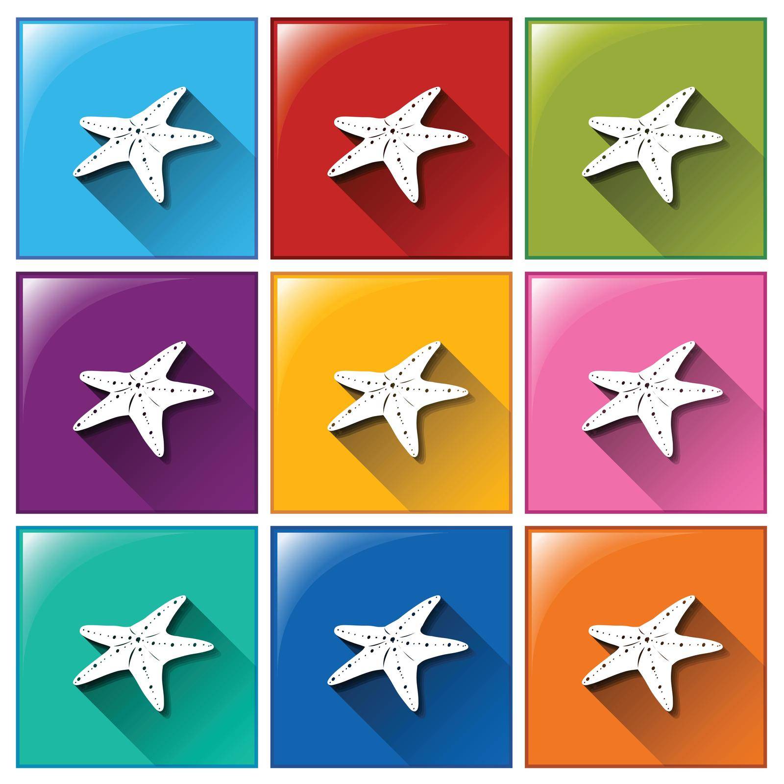 Buttons with starfish on a white background