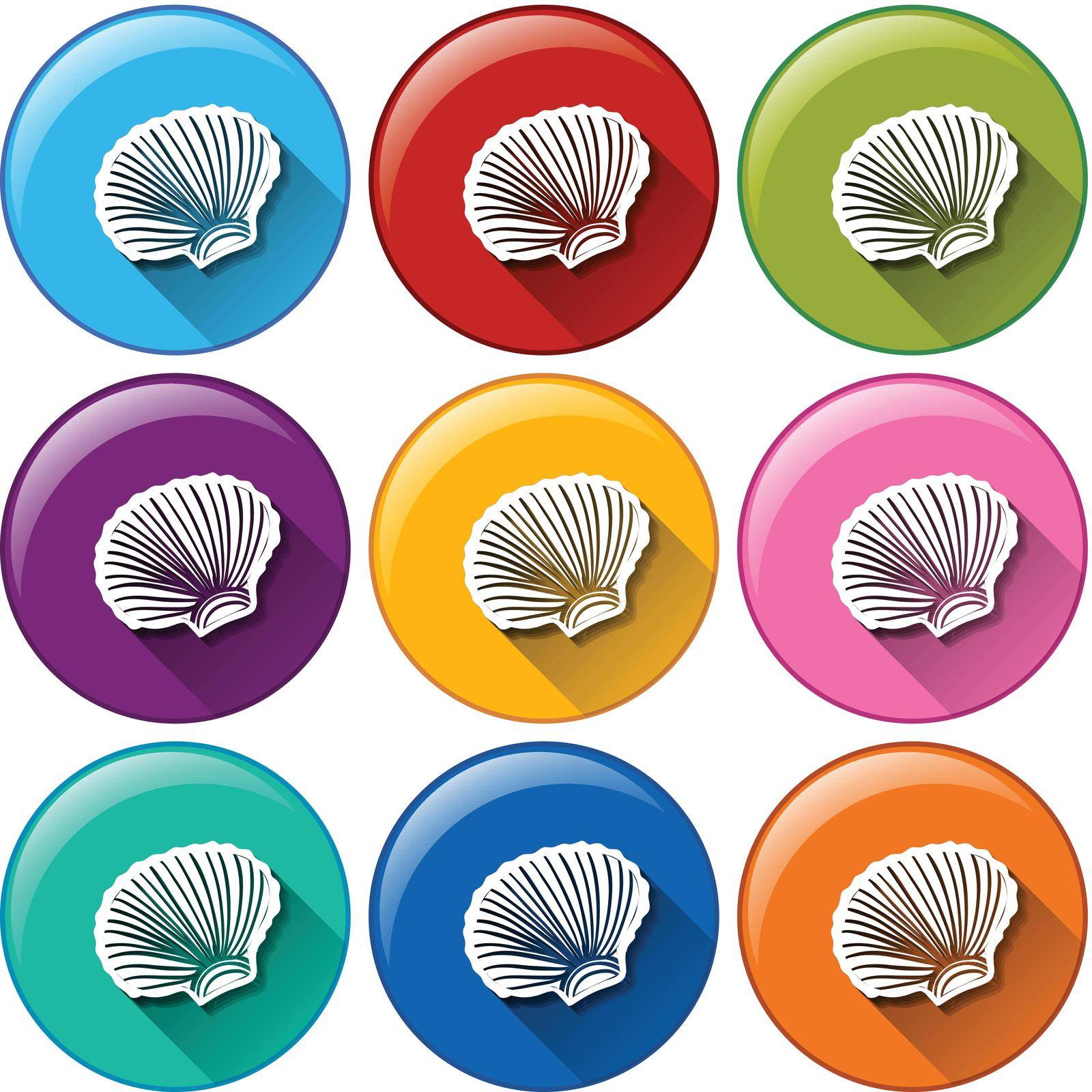 Illustration of the buttons with seashells on a white background