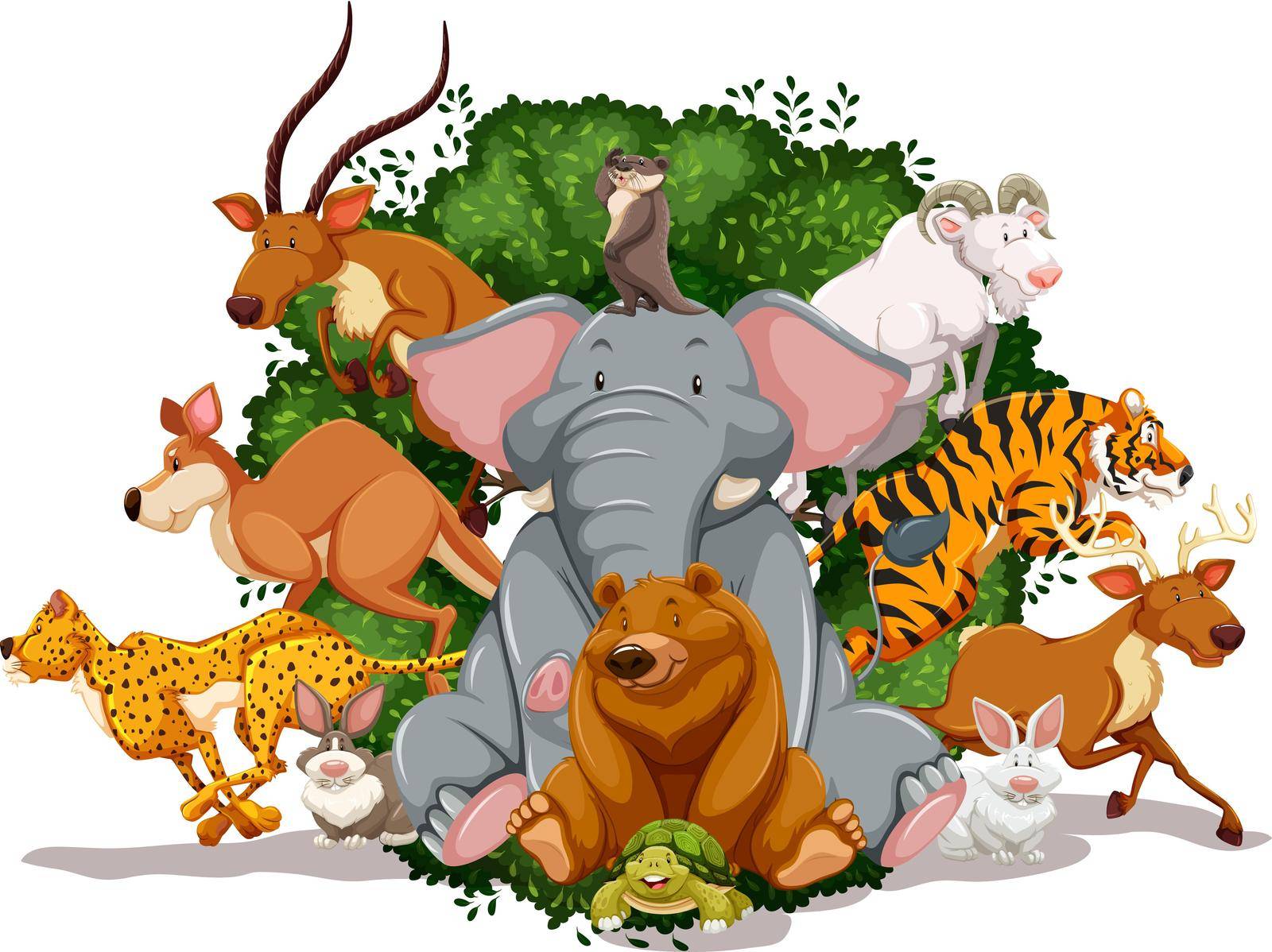 Many animals living together in the jungle
