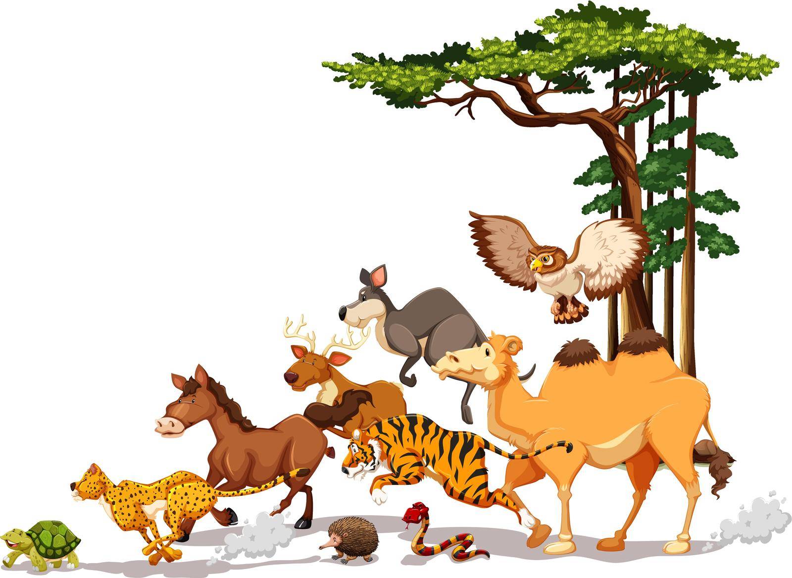 Wild animals in a race competition