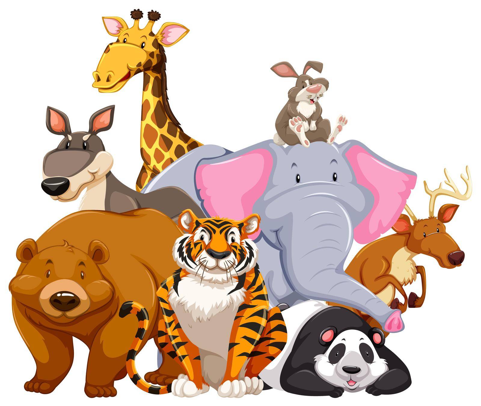 Animals characters on white illustration
