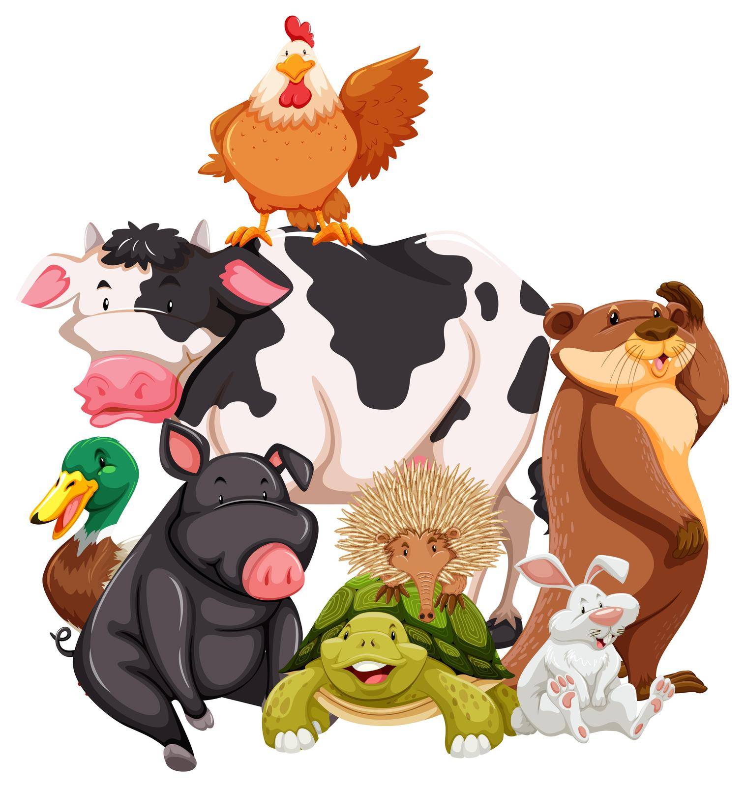 Group of animals on white background