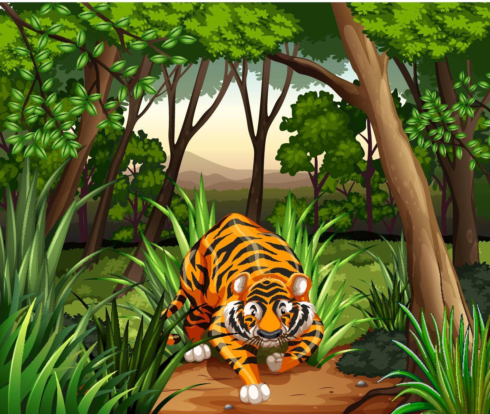 Tiger walking in a jungle