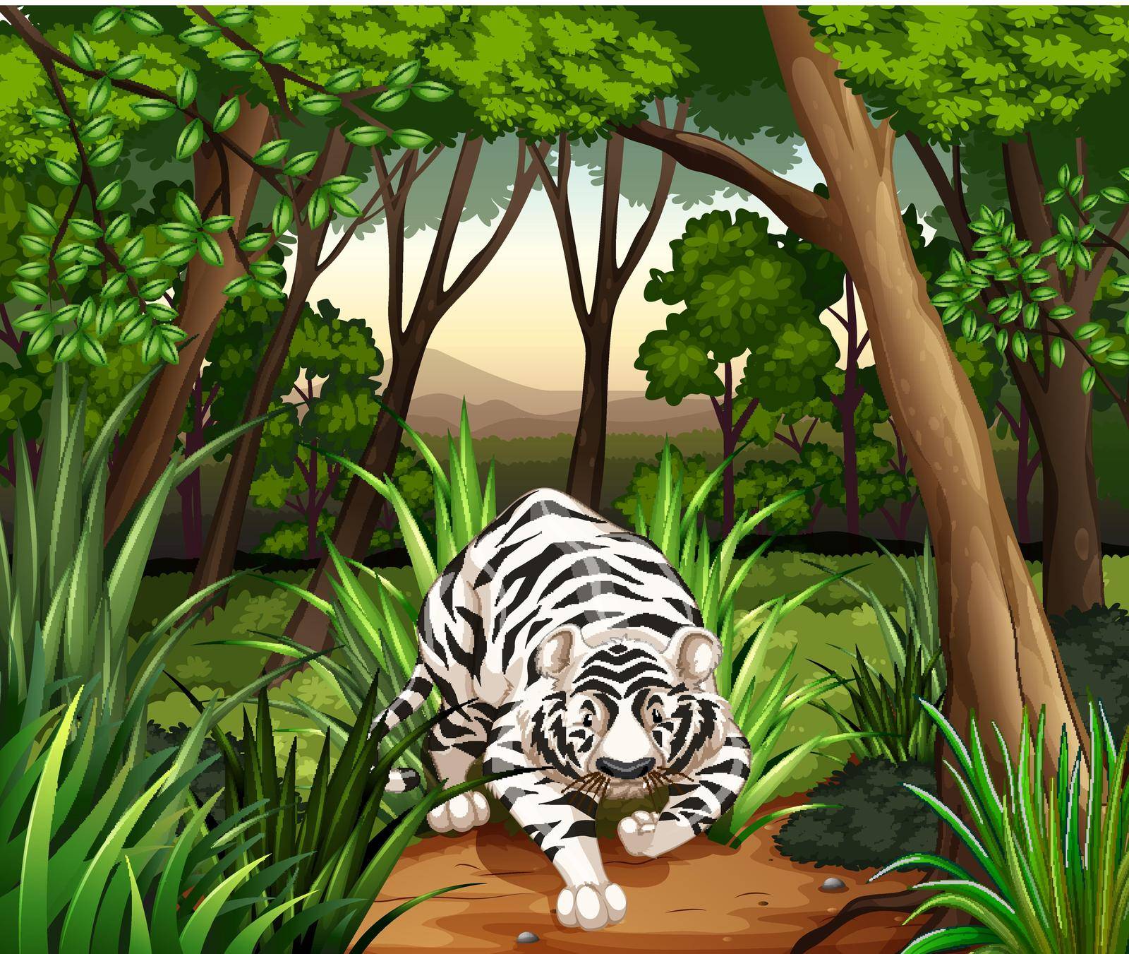 White tiger walking in a jungle