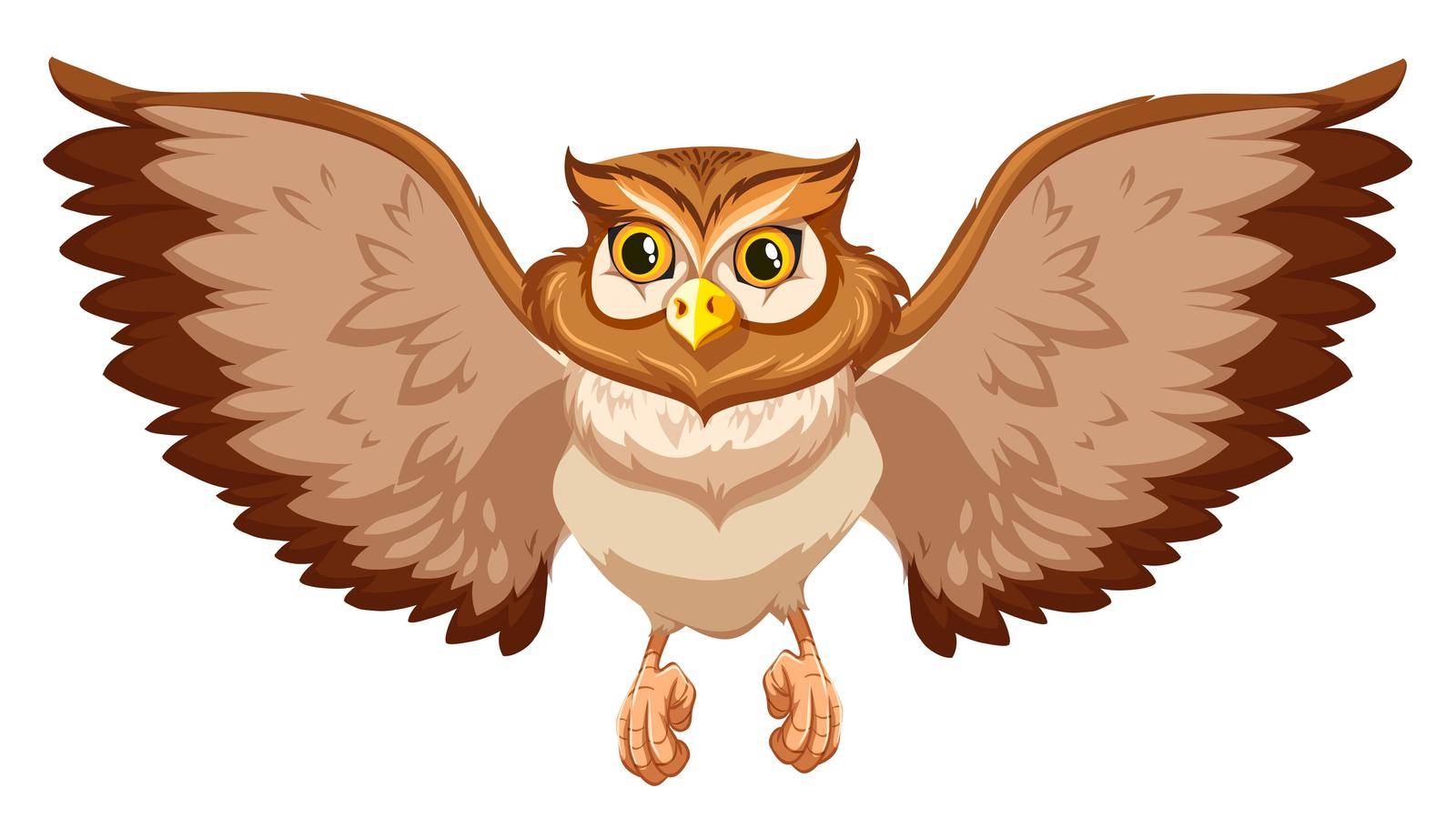 Brow owl with open wings