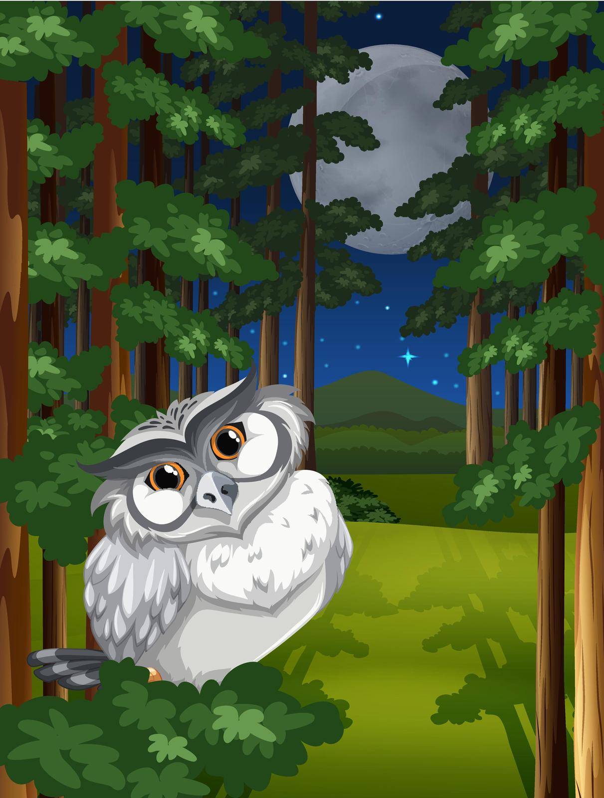 White owl sitting in the forest under full moon and stars