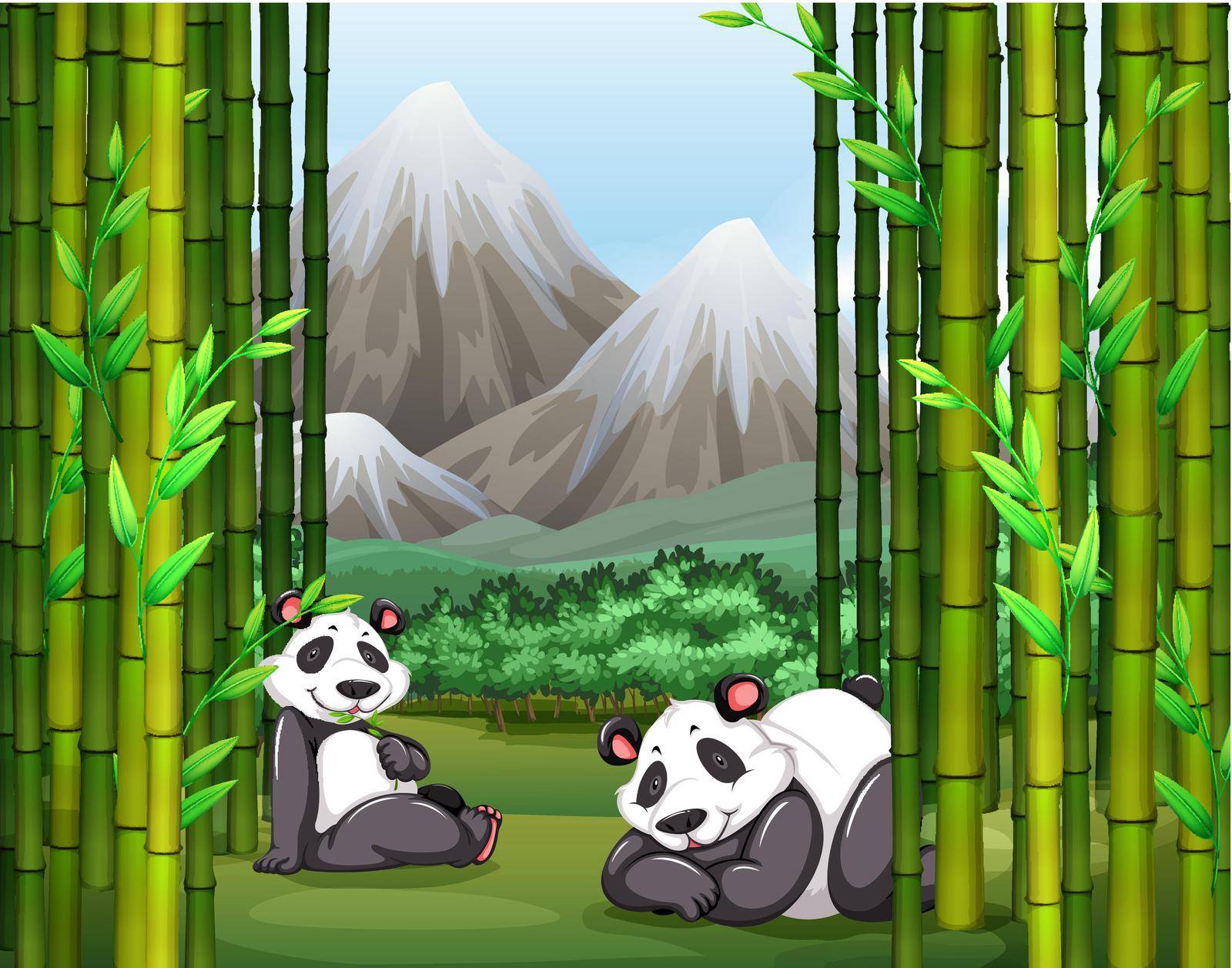 Two panda resting near bamboo trees