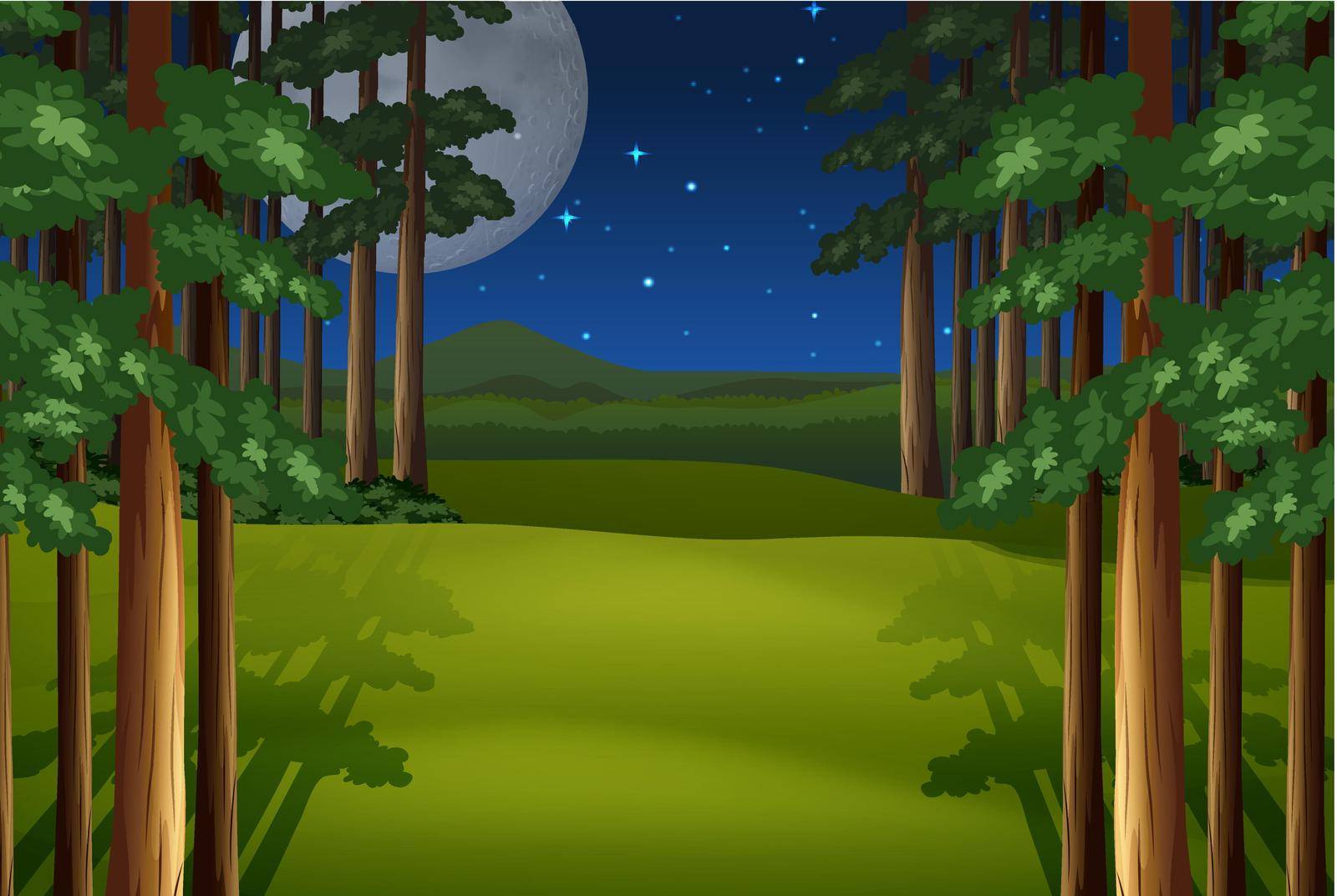 Scenery of a forest on a full moon night with stars