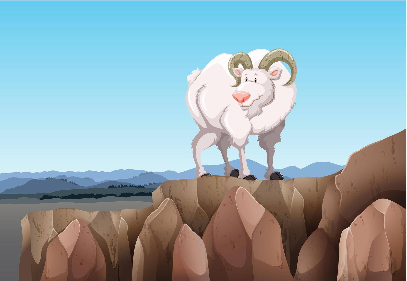 White goat standing on a mountain