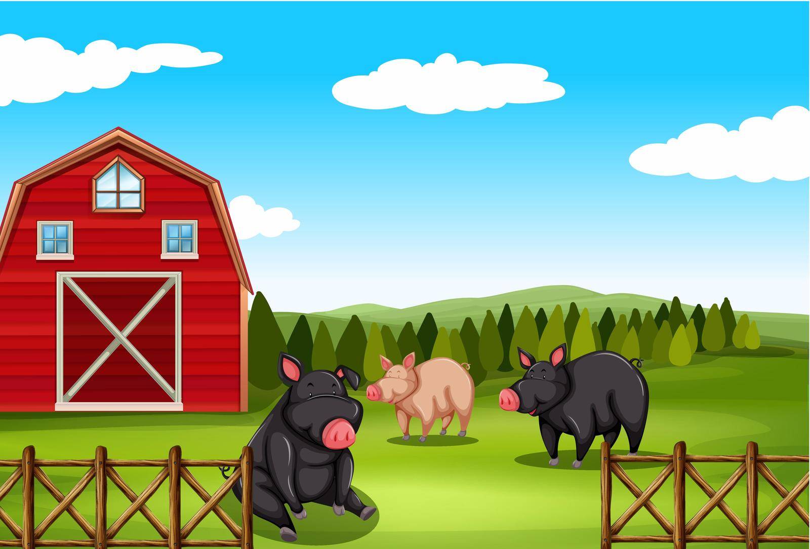 Pigs sitting in a farm field