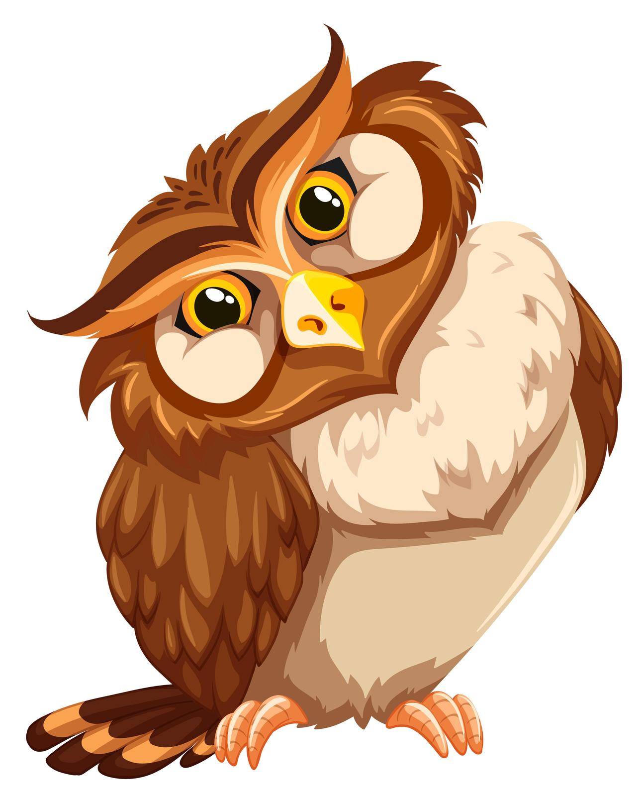 Cute brown owl on white background