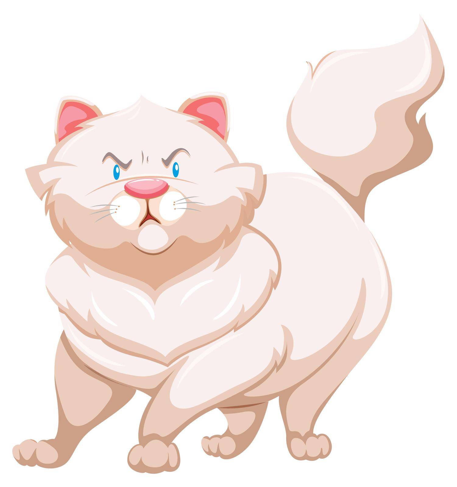 Angry fat cat on a white background