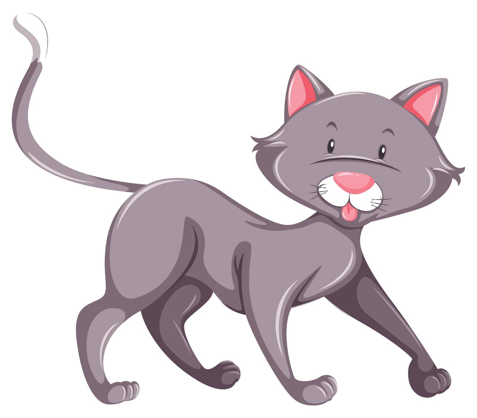 Flashcard of a standing grey cat