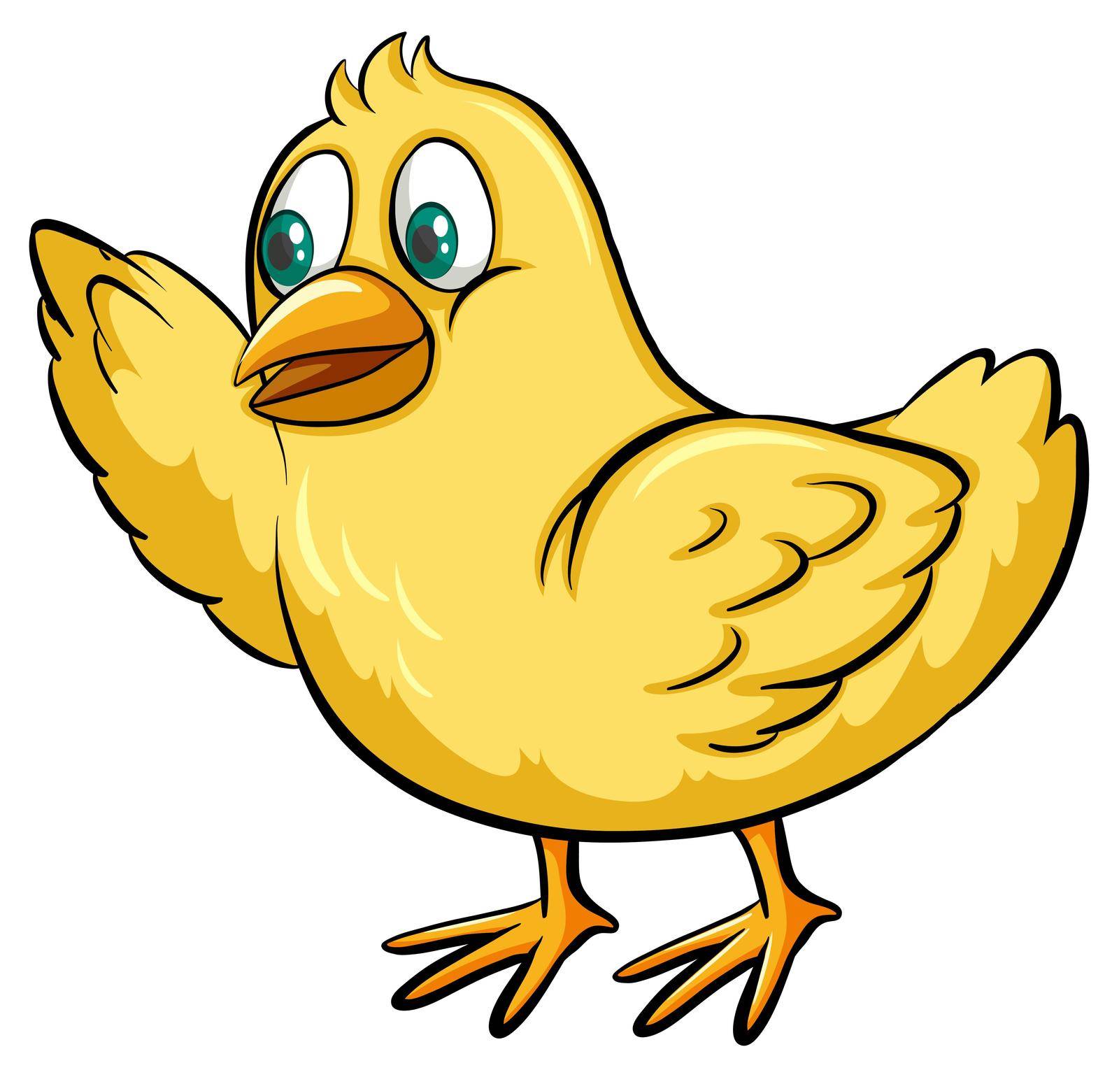 One yellow chick on a white background