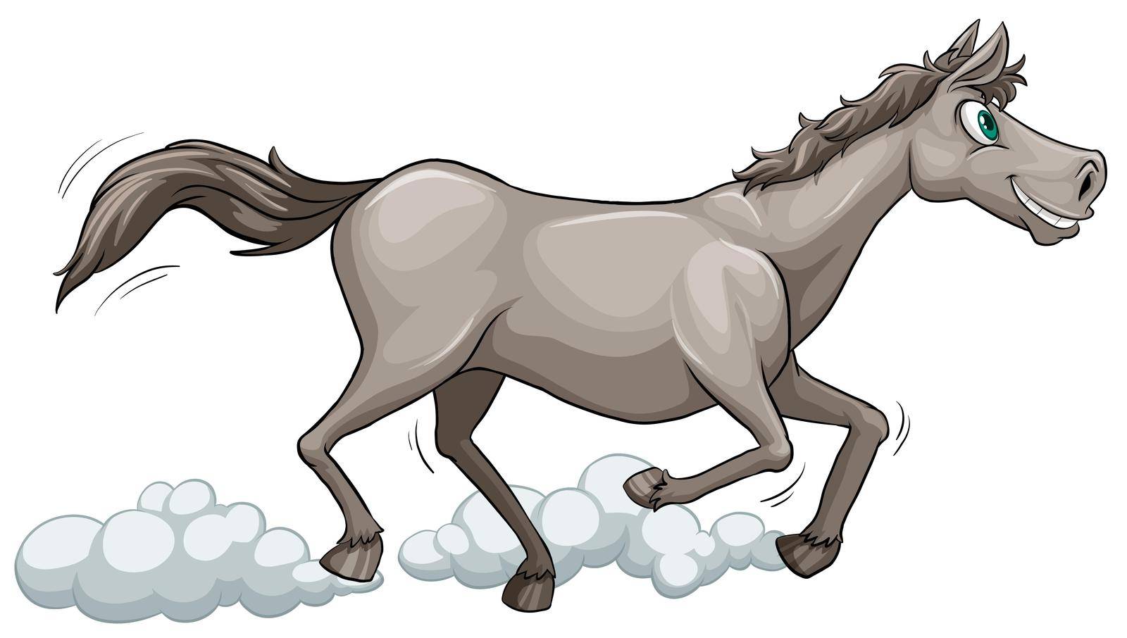 Grey horse running on a white background