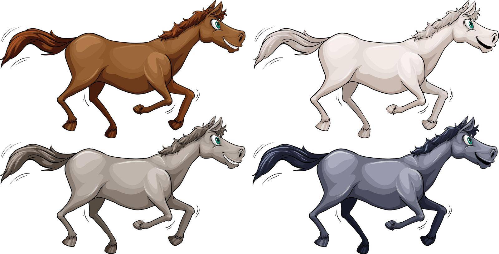 Four wild horses on a white background
