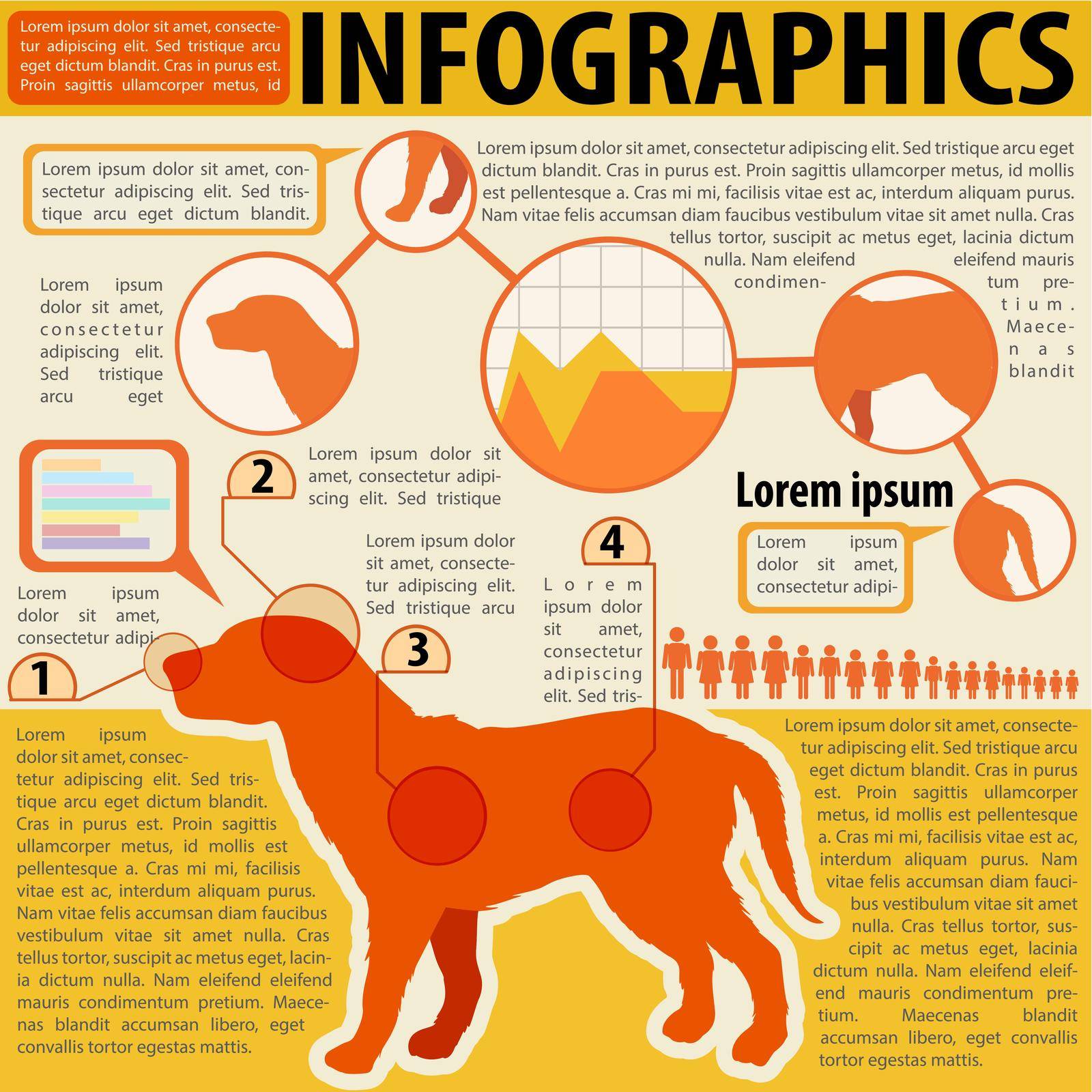 An infographics of a dog and its parts