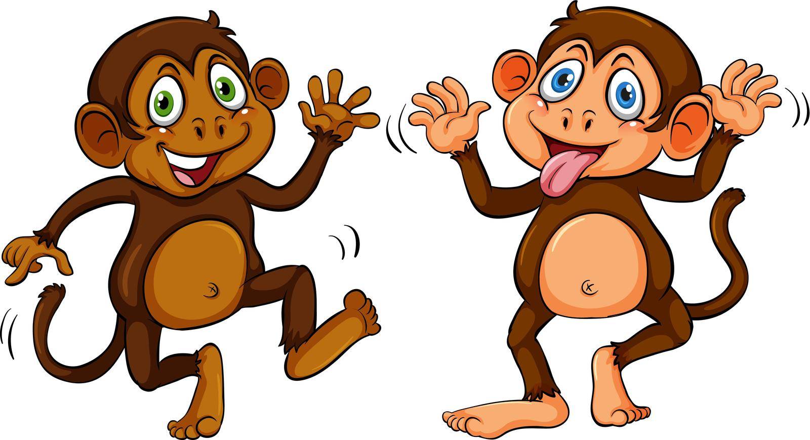 Two monkeys by iimages