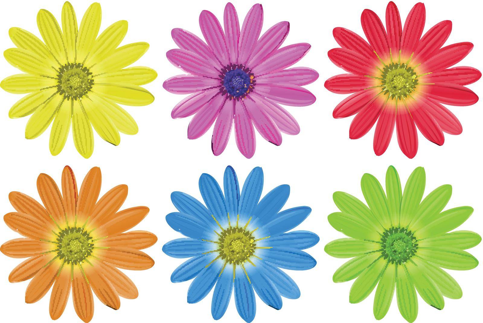 Set of colourful flowers on a white background