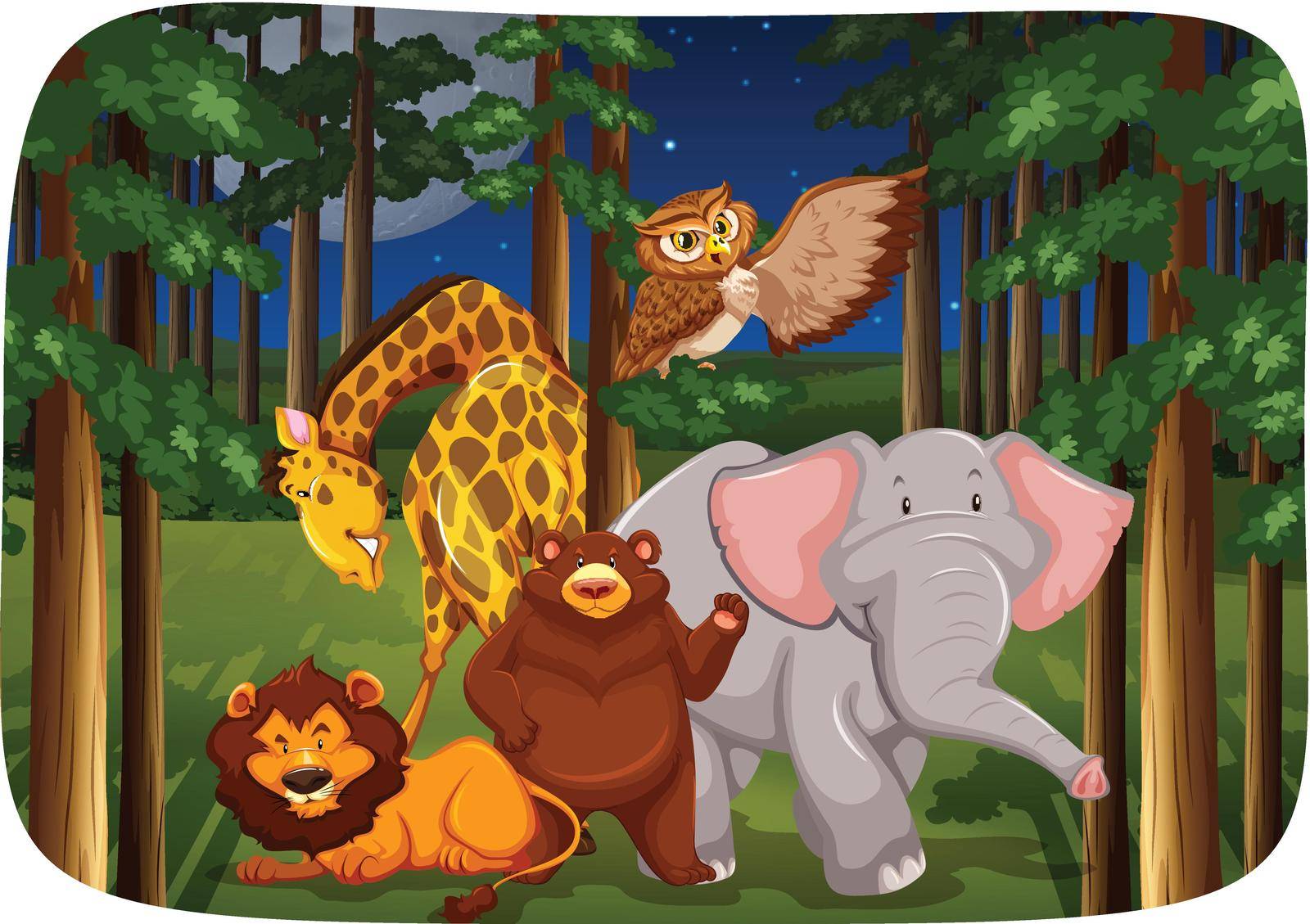 Wild animals in the jungle at night