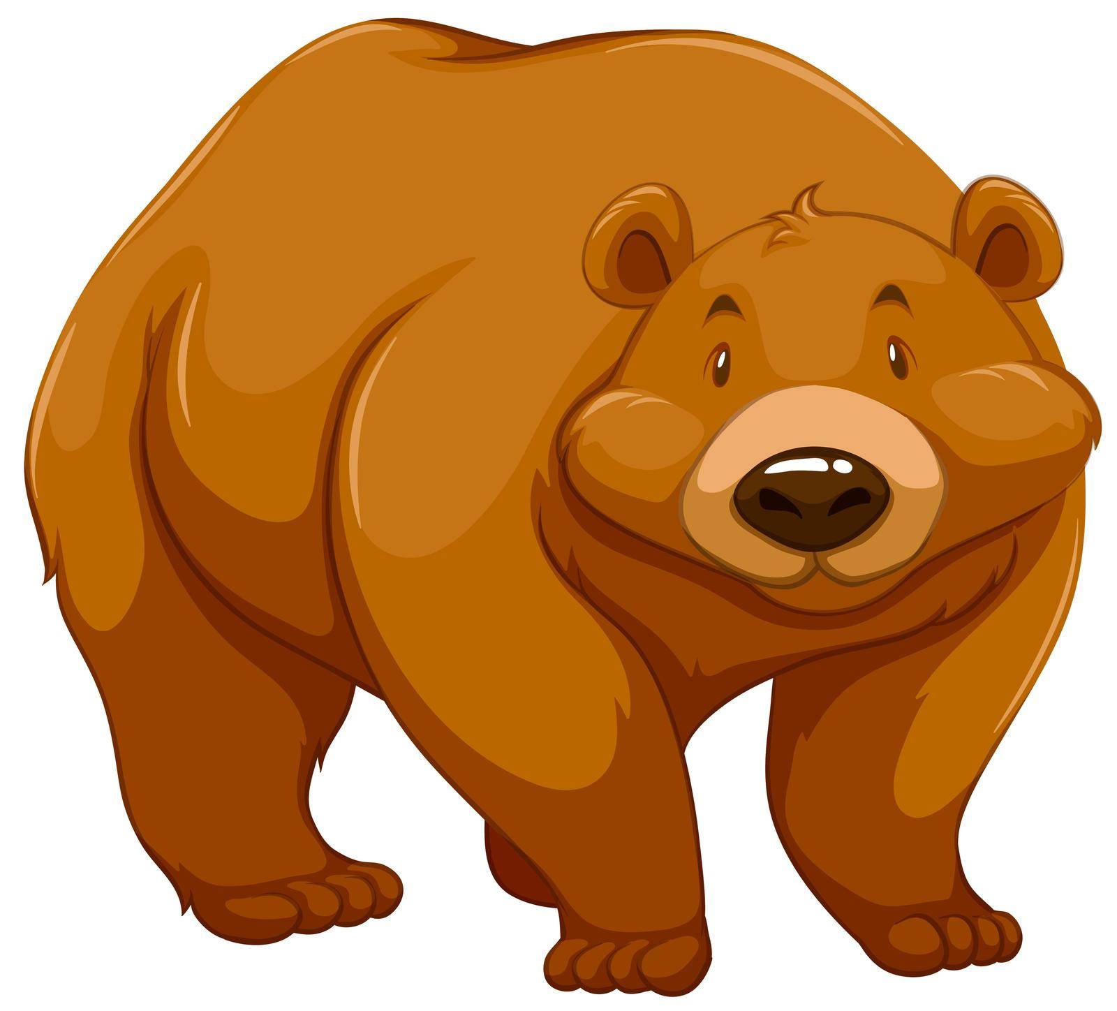 Big brown bear by iimages