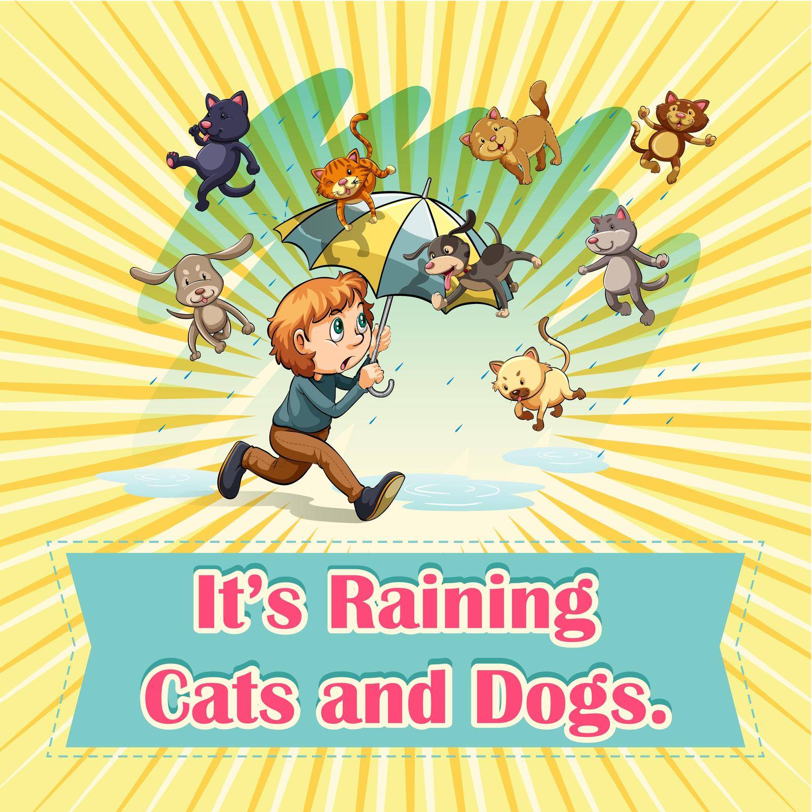Raining cats and dogs by iimages
