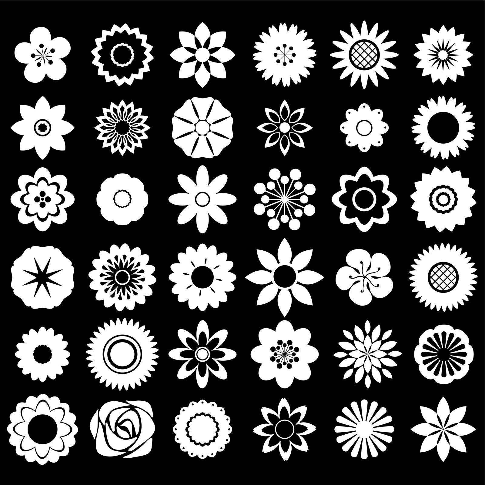 Flower design patterns on black background