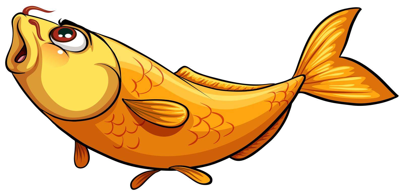 Yellow big fish by iimages