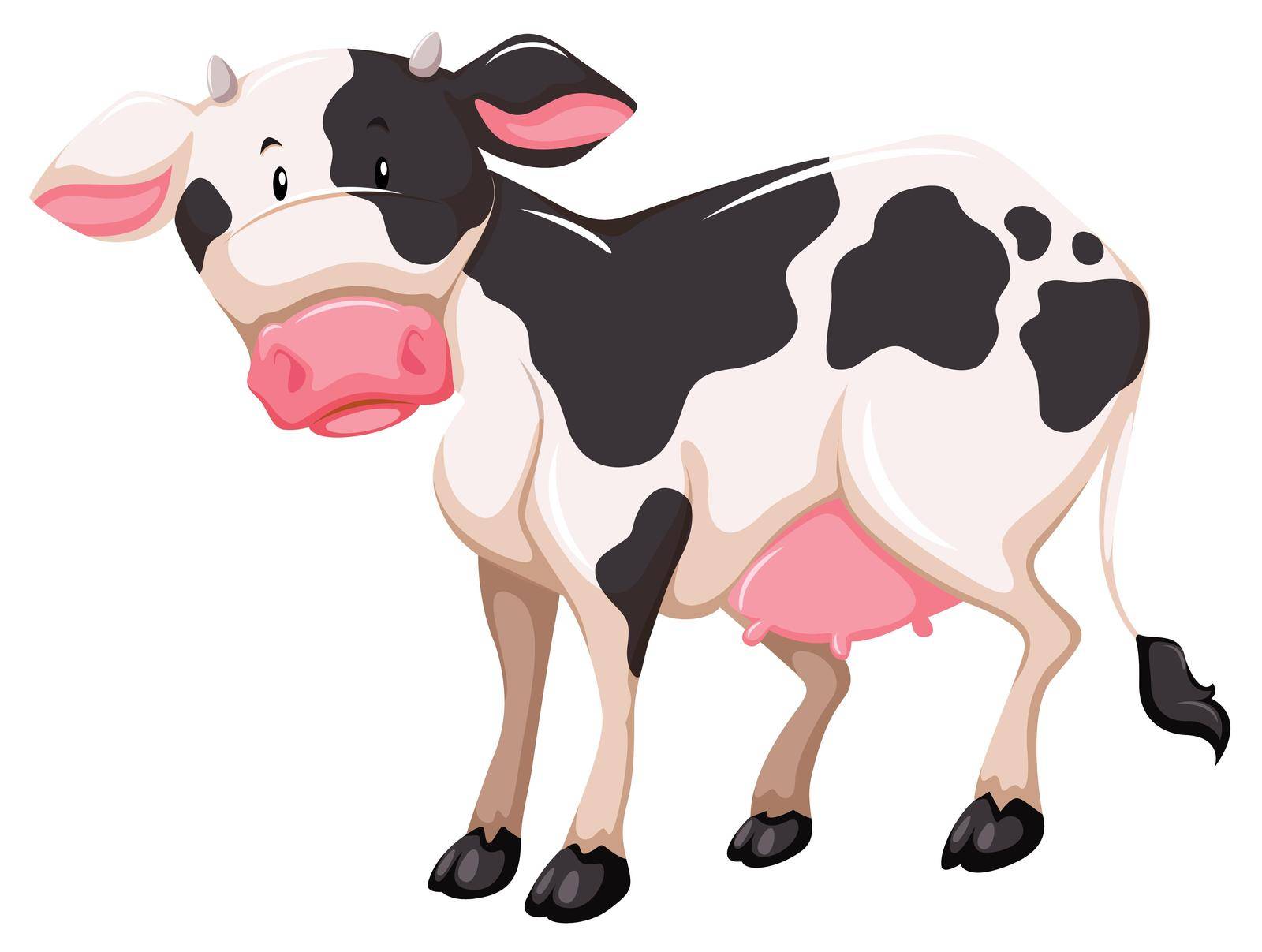 One milking animal on a white background