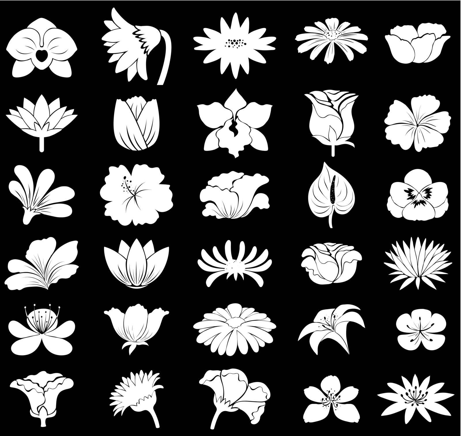 Collection of different types of flowers