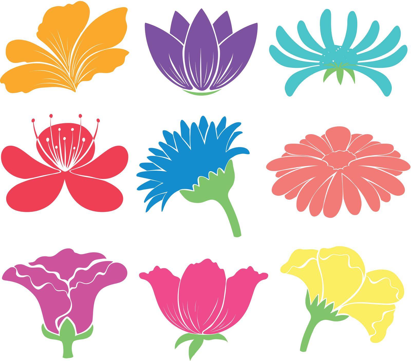 Colourful floral artworks on a white background