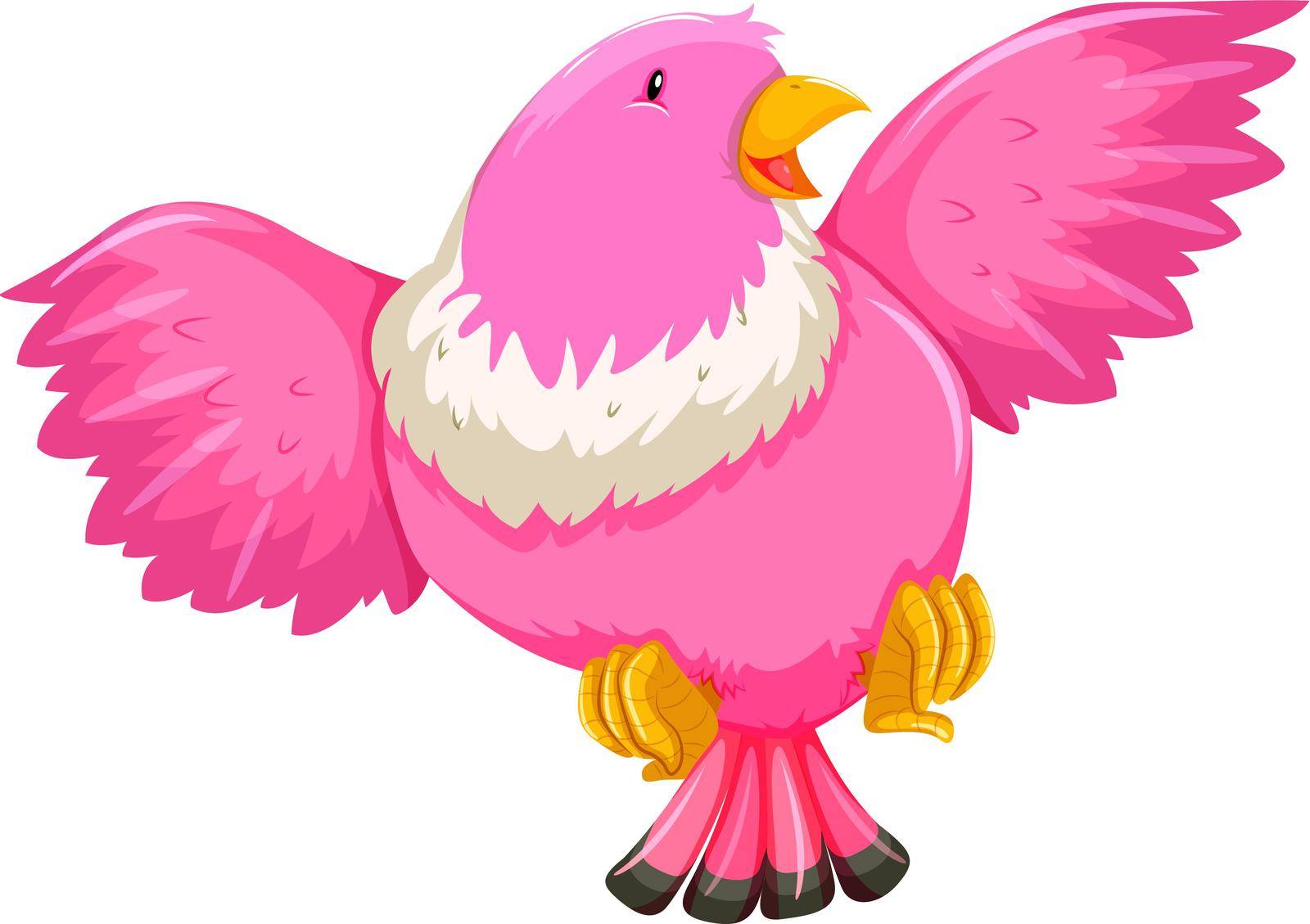 Pink bird with open wings