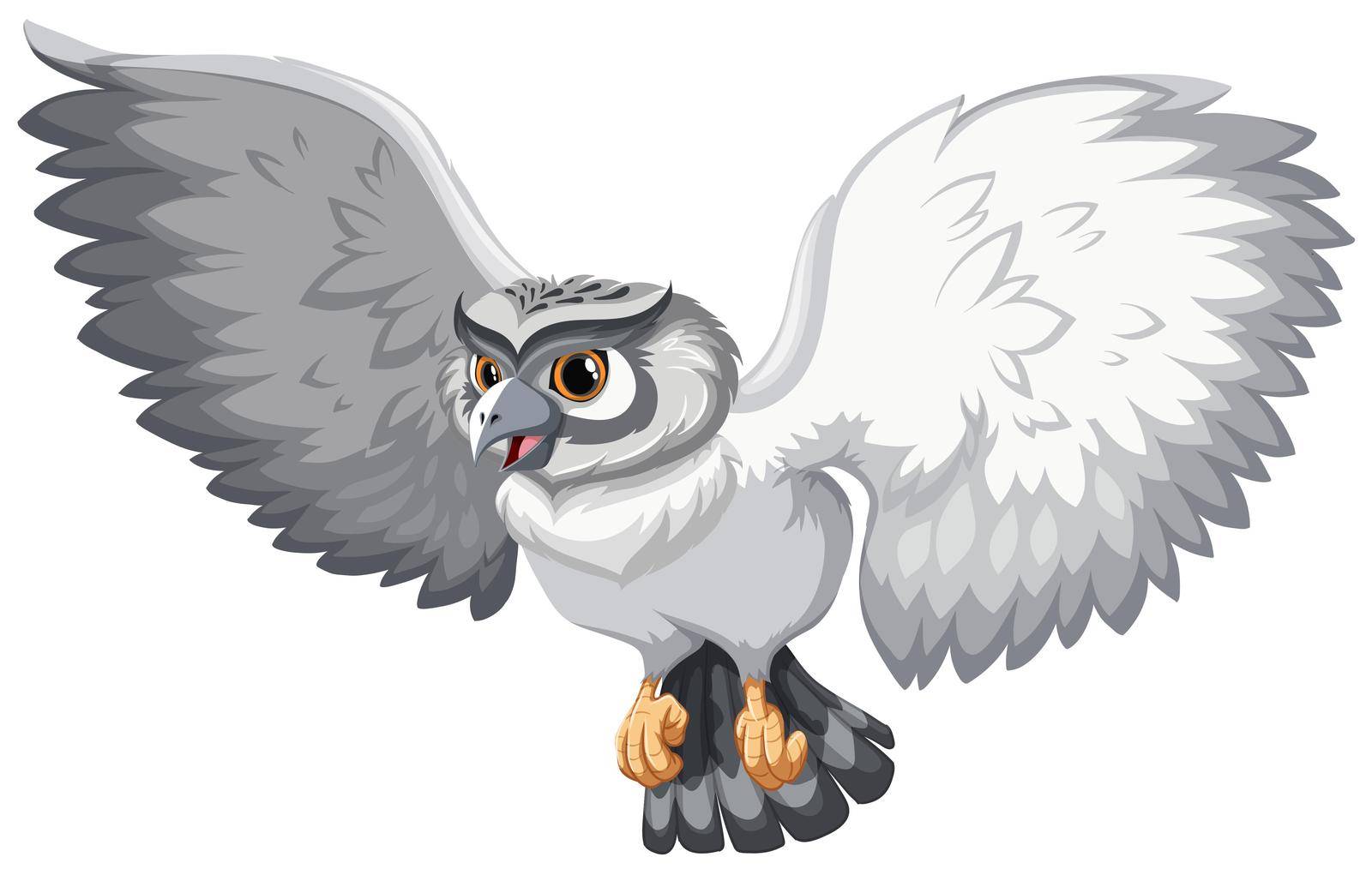 Grey owl by iimages