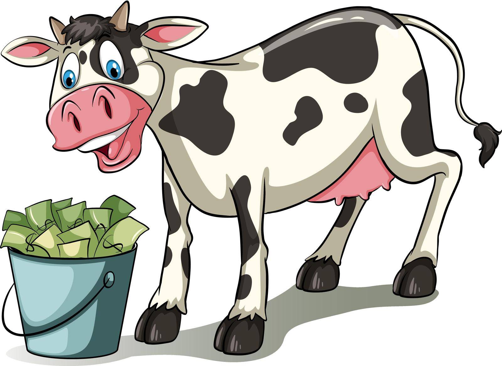 Cow watching the pail full of money on a white background