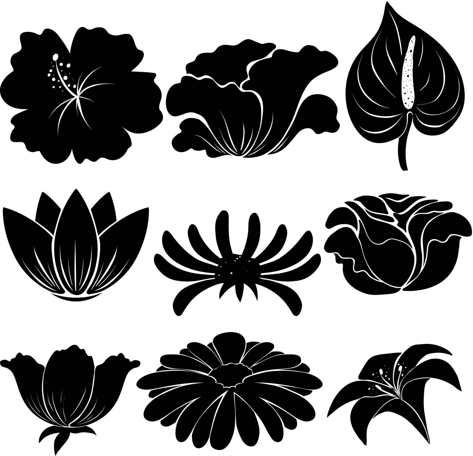 Black templates of plants on a white background