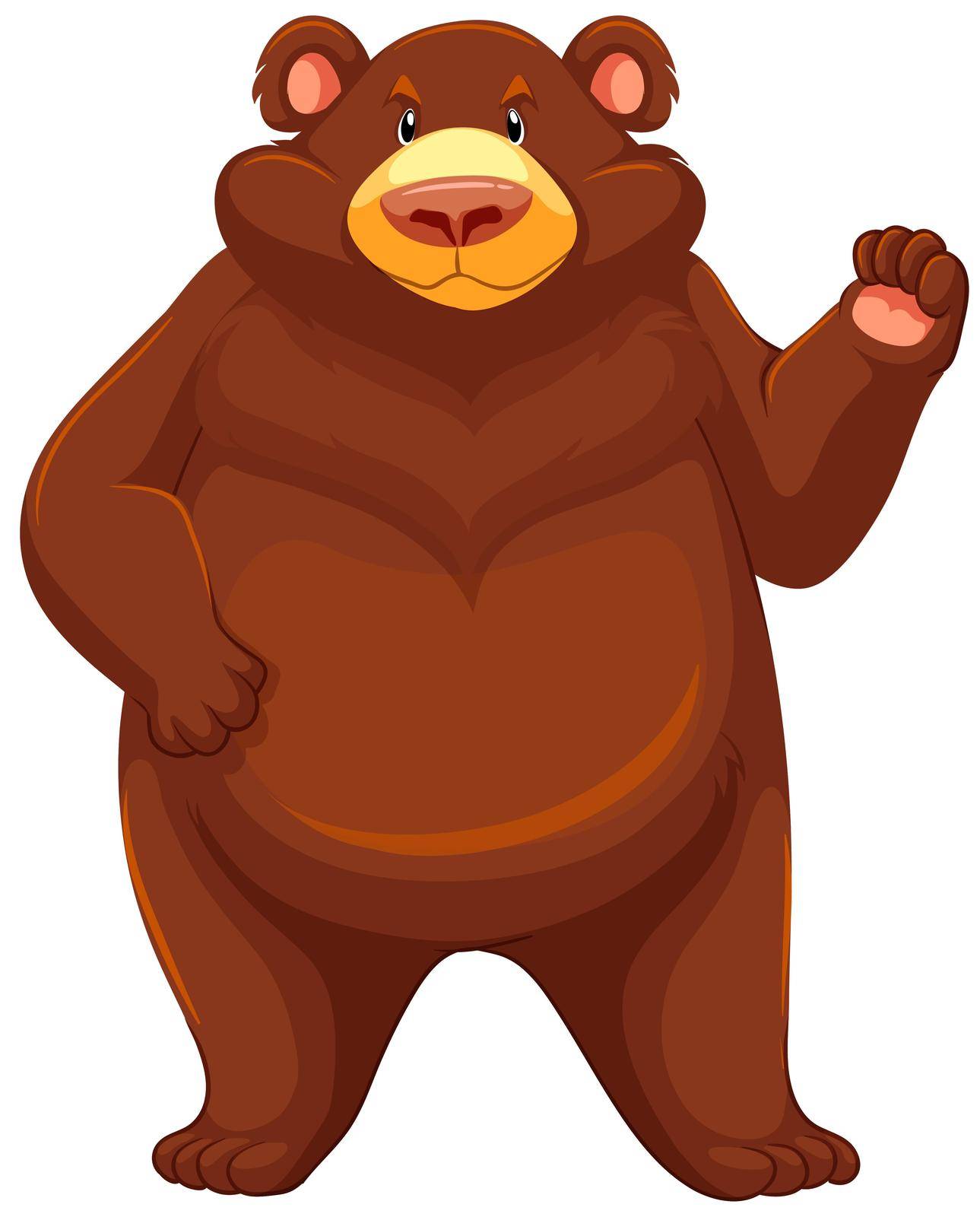 One big brown bear on a white background