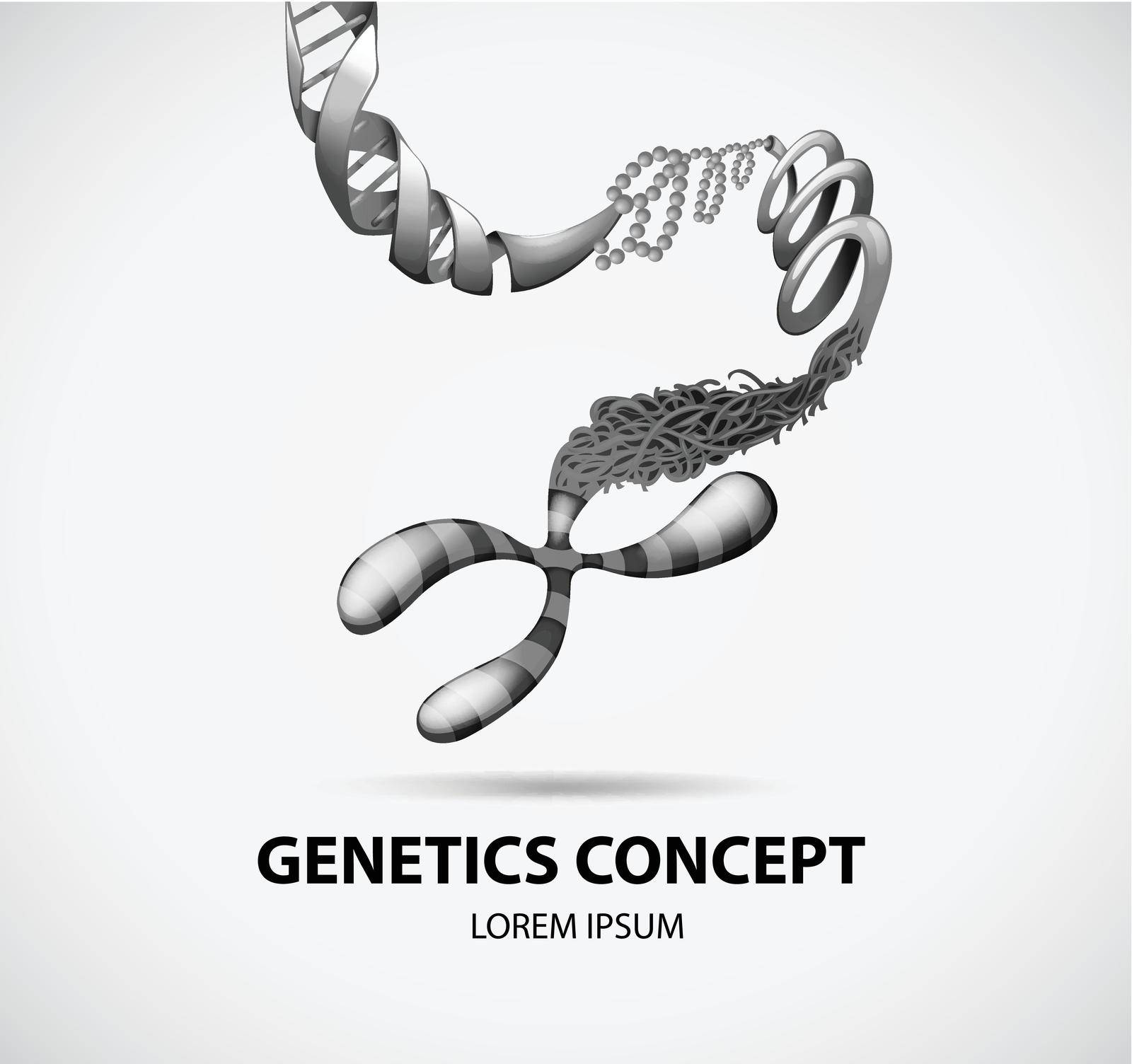Flashcard of genetics concept on white background