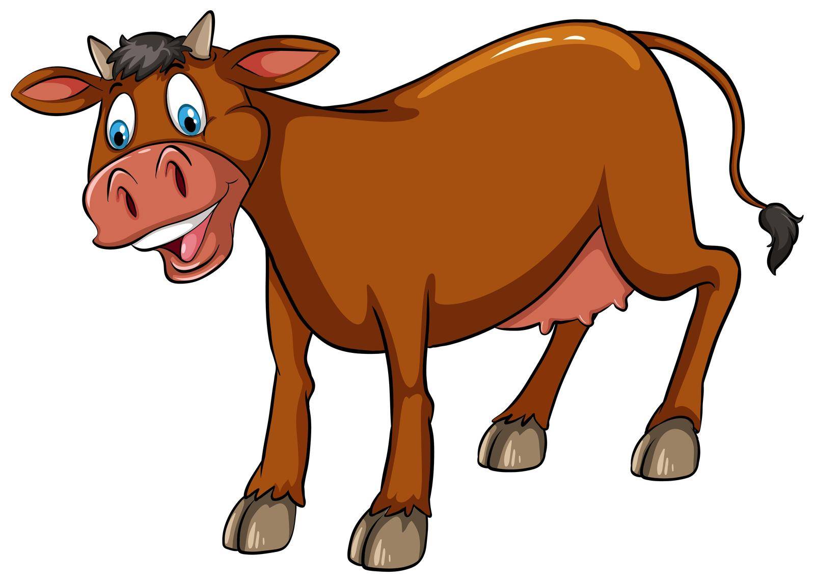 Brown cow standing with white background