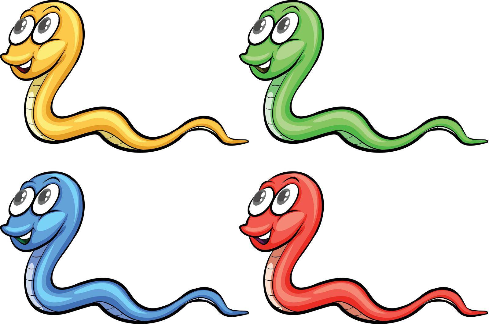 Four snakes colourful on a white background
