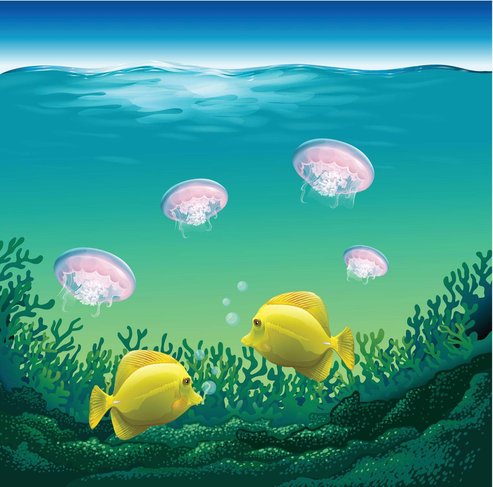 Ocean fish and jelly fish under the water