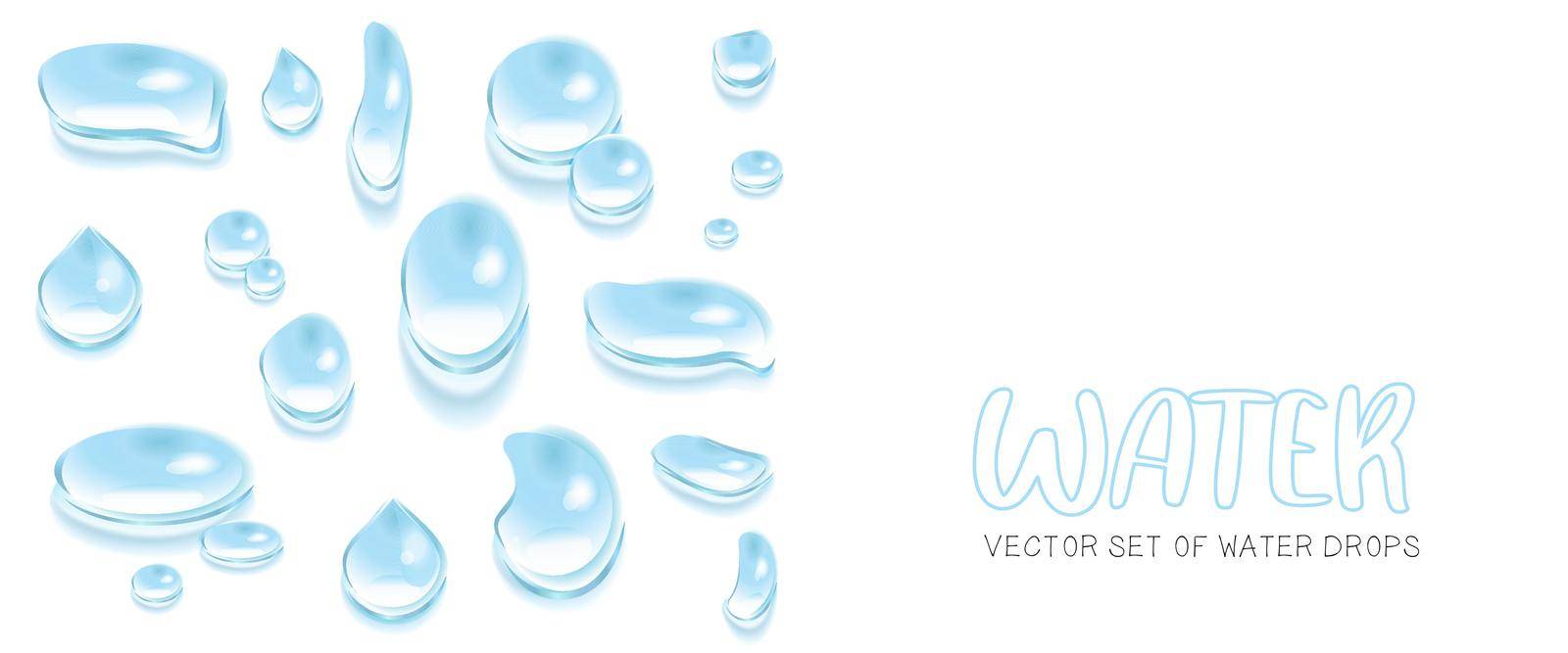 Vector set of water drops on a white background. A realistic image of the droplets.