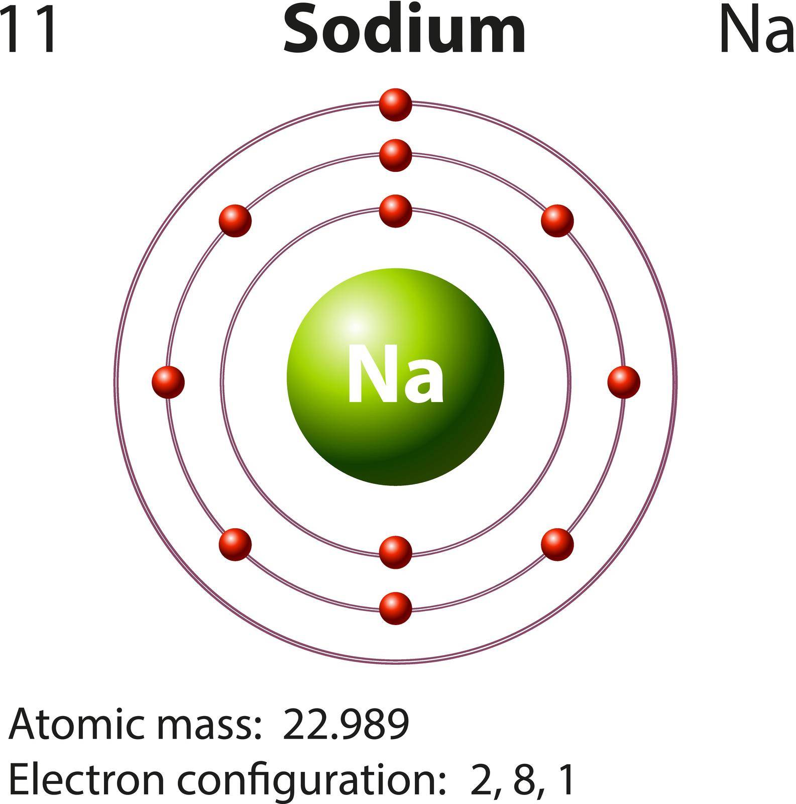 Diagram representation of the element sodium illustration