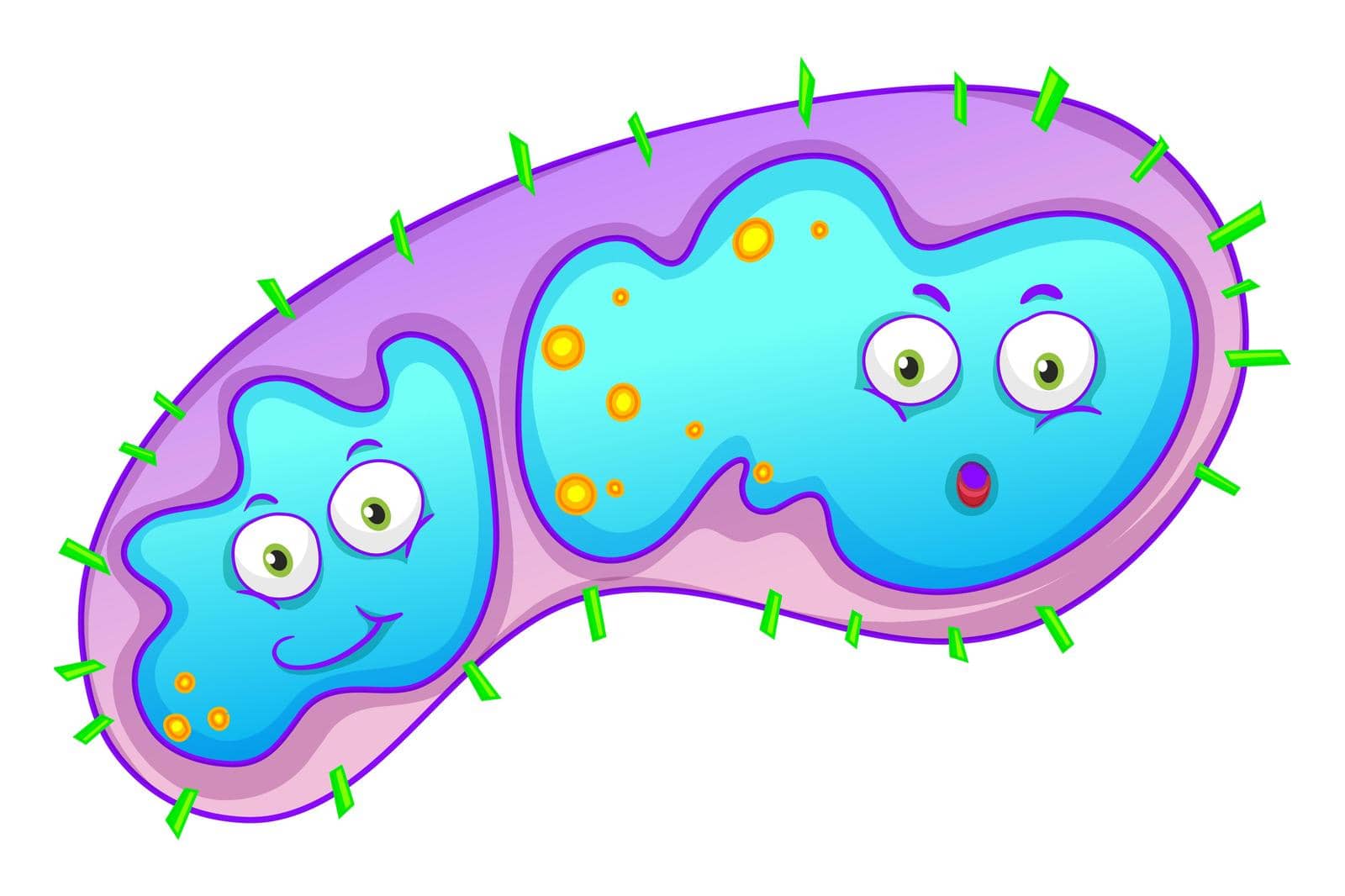 Bacteria with happy face illustration