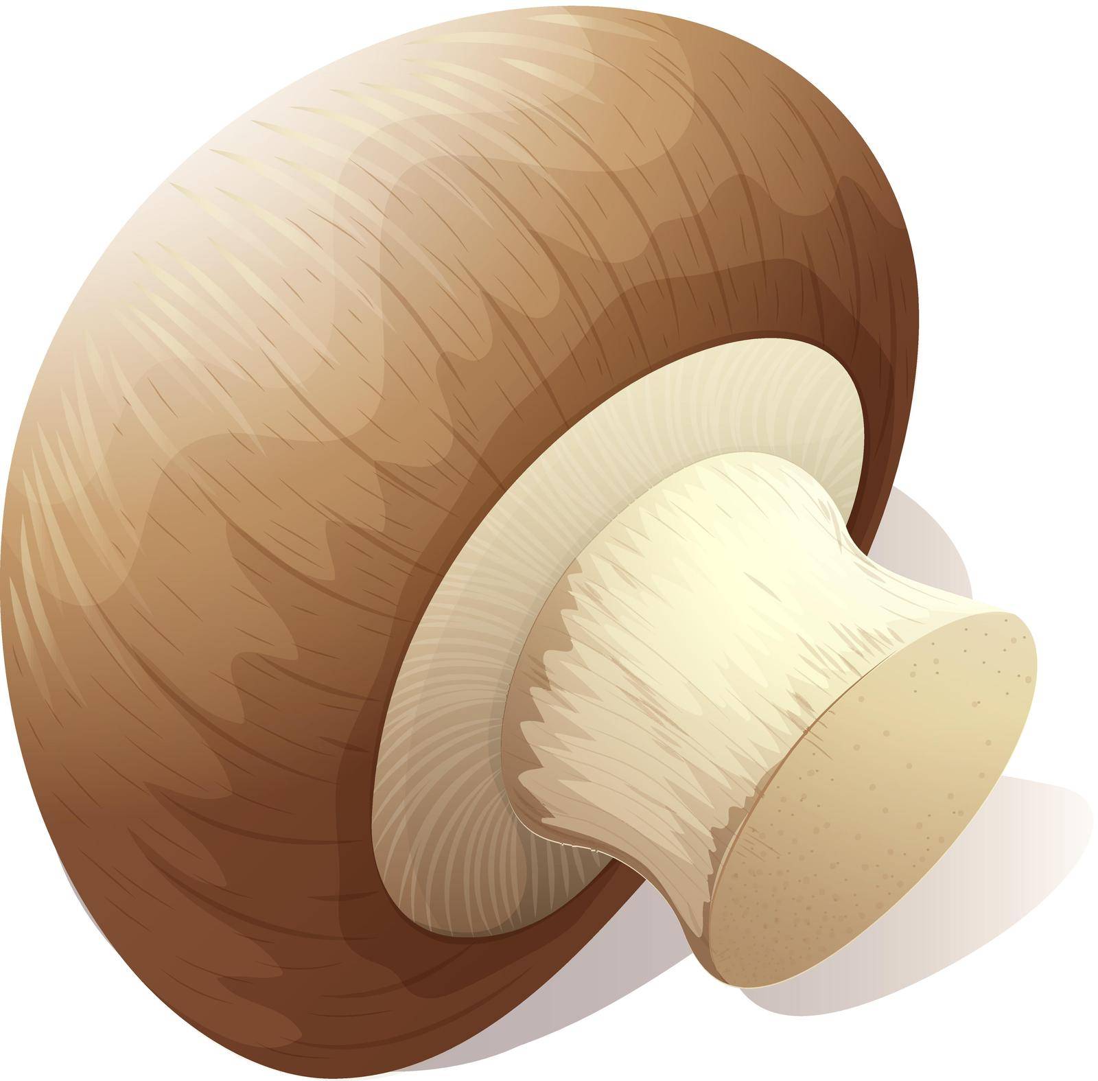 Single mushroom on white illustration