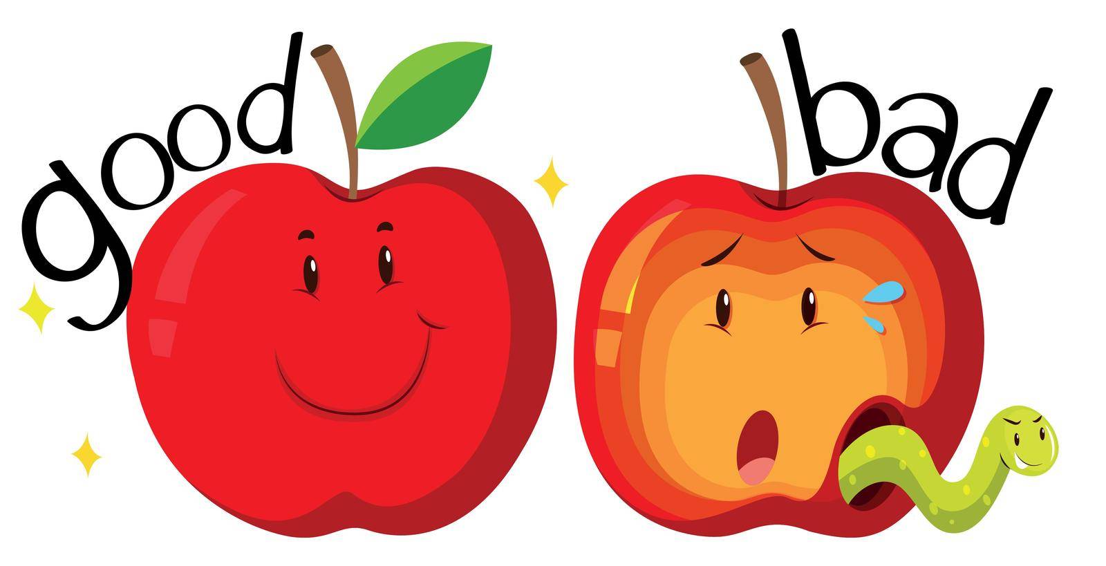 Red apples in good and bad condition illustration