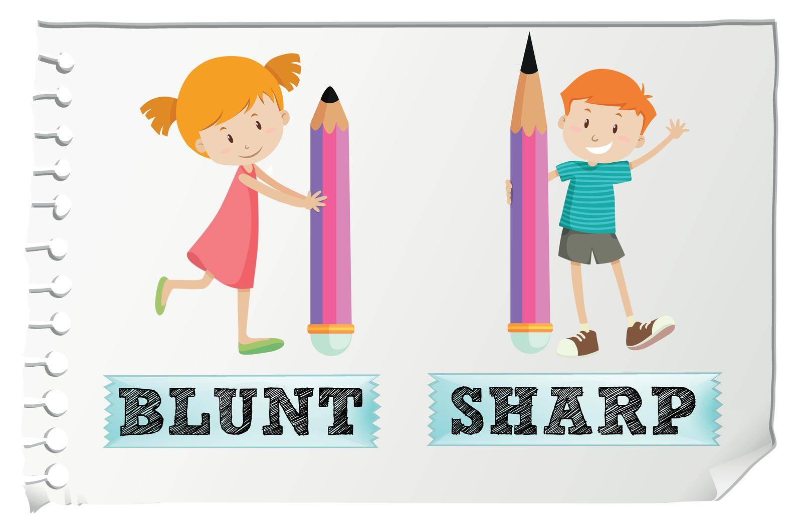 Opposite adjectives with blunt and sharp by iimages