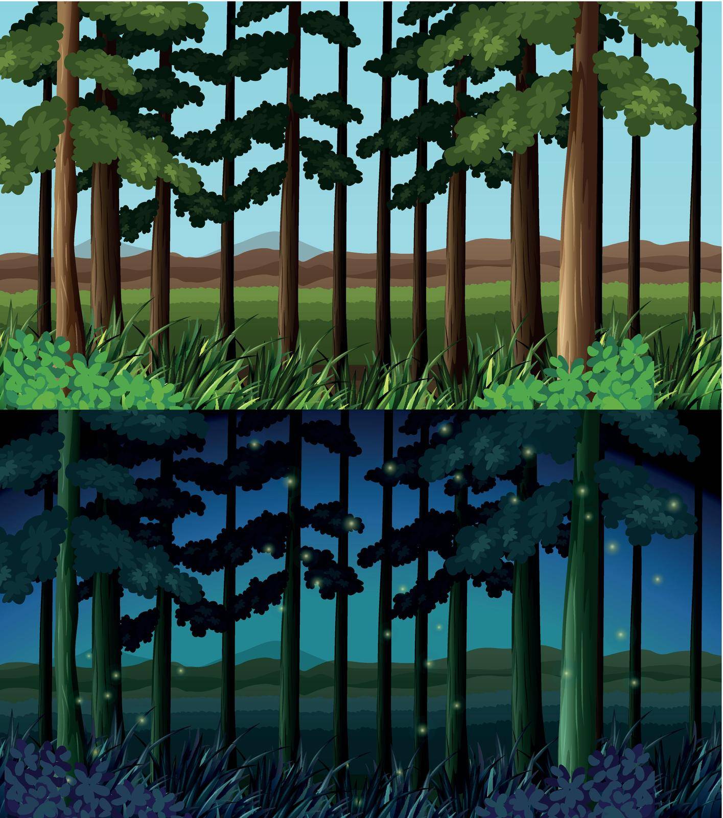 Forest scene at day time and night time by iimages