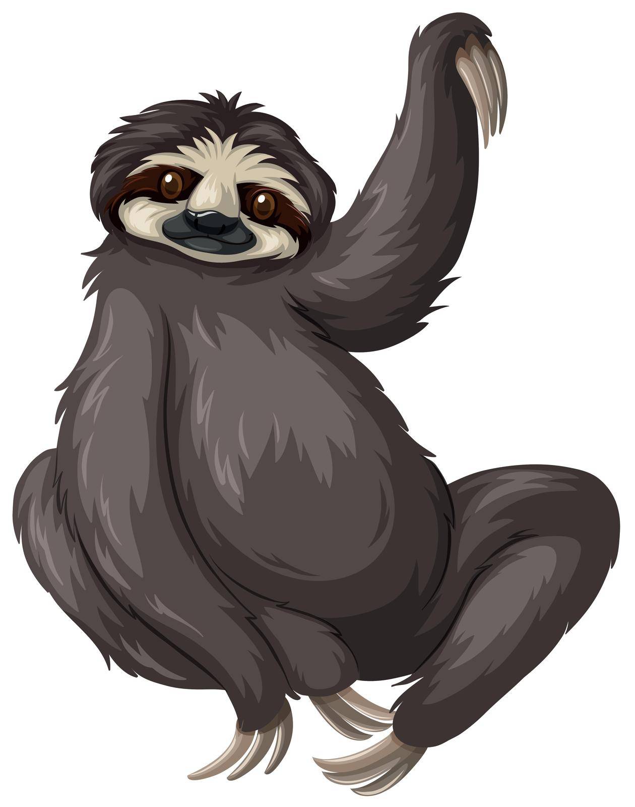 Sloth with black fur by iimages
