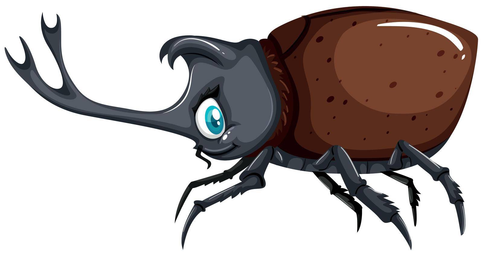 Beetle with brown shell illustration