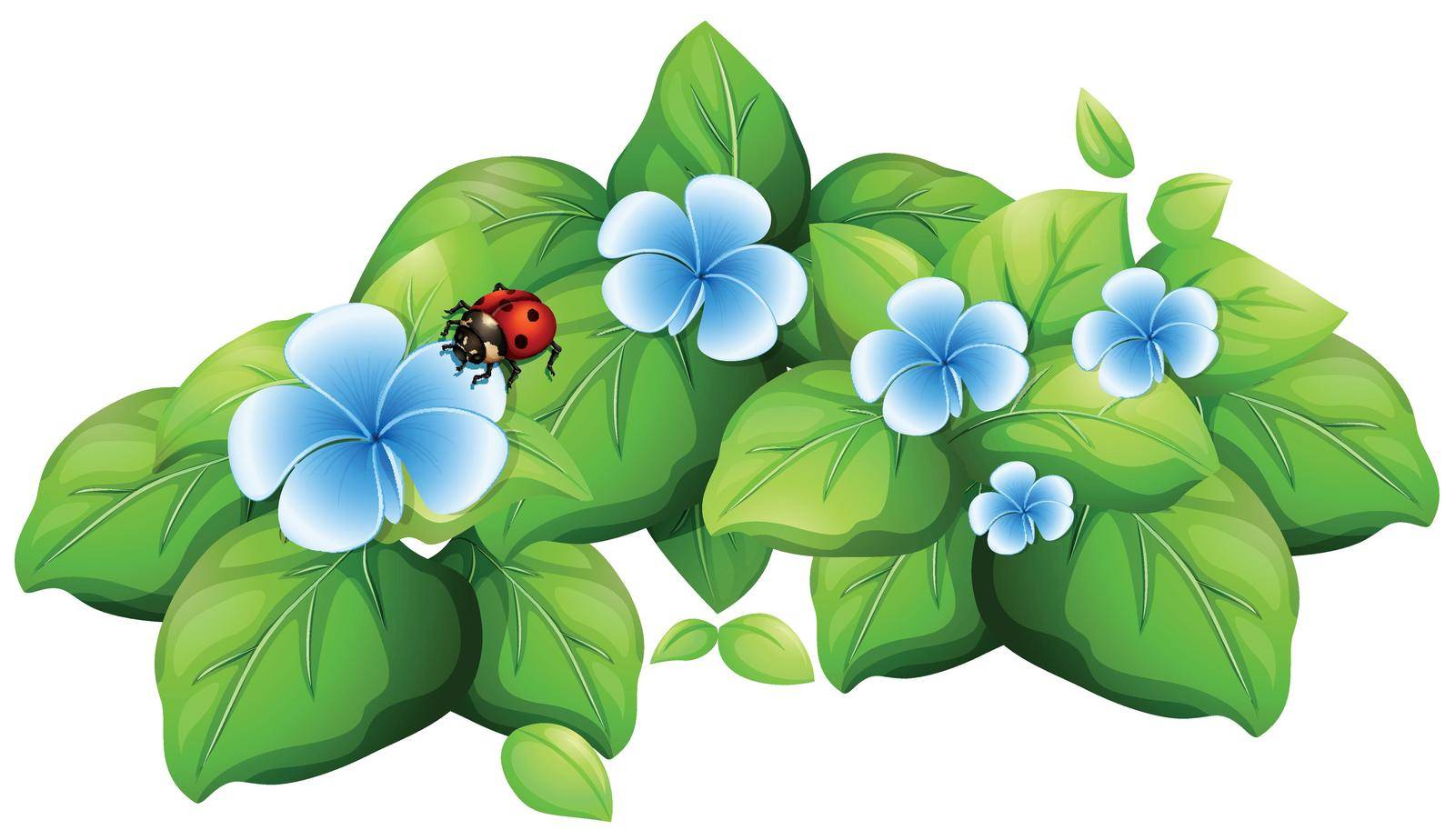 Blue flower and ladybug illustration